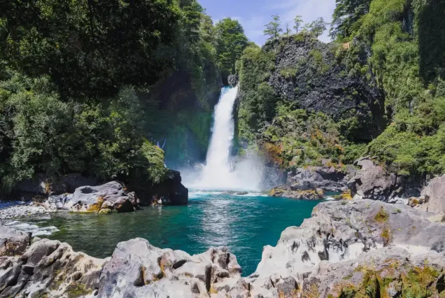 Tour Reserva Huilo Huilo desde pucón